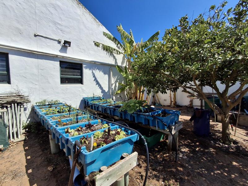 5 Bedroom Property for Sale in Duyker Eiland Western Cape